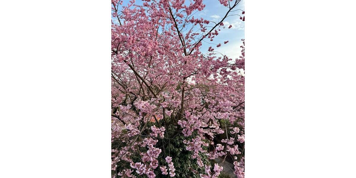 Dachgeschoßwohnung Wuppertal Eckbusch - 3 Zimmer, 90 m&sup2;, 1.190&euro; | Angebot:26040986