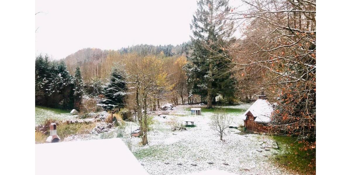 Wohnen auf Zeit Wald-Michelbach Michelbach - 5 Zimmer, 18 m&sup2;, 550&euro; | Angebot:26268401