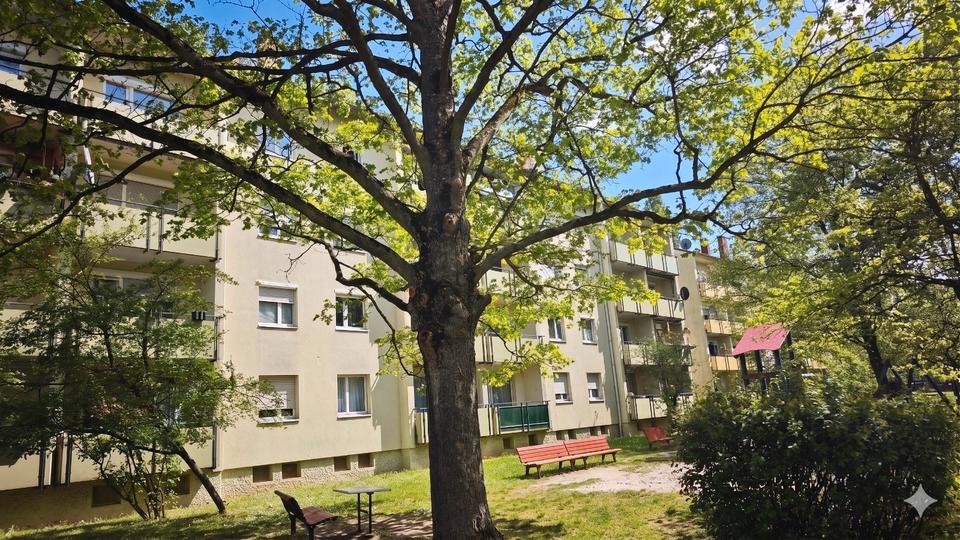 Etagenwohnung Frankfurt am Main Ost - 1 Zimmer, 33 m&sup2;, 745&euro; | Angebot:26639045