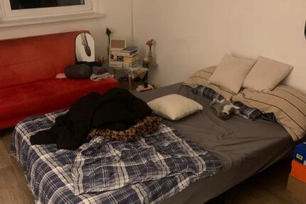 Wohnen auf Zeit Wismar Altstadt - 1 Zimmer, 16 m&sup2;, 220&euro; | Angebot:24468456