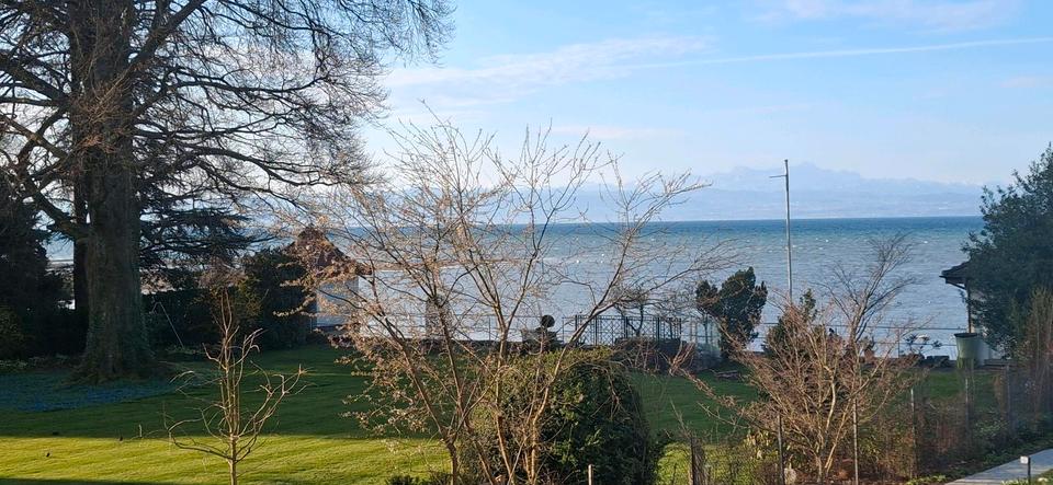 Etagenwohnung Friedrichshafen Allmannsweiler - 2 Zimmer, 64 m&sup2;, 2.200&euro; | Angebot:25978992