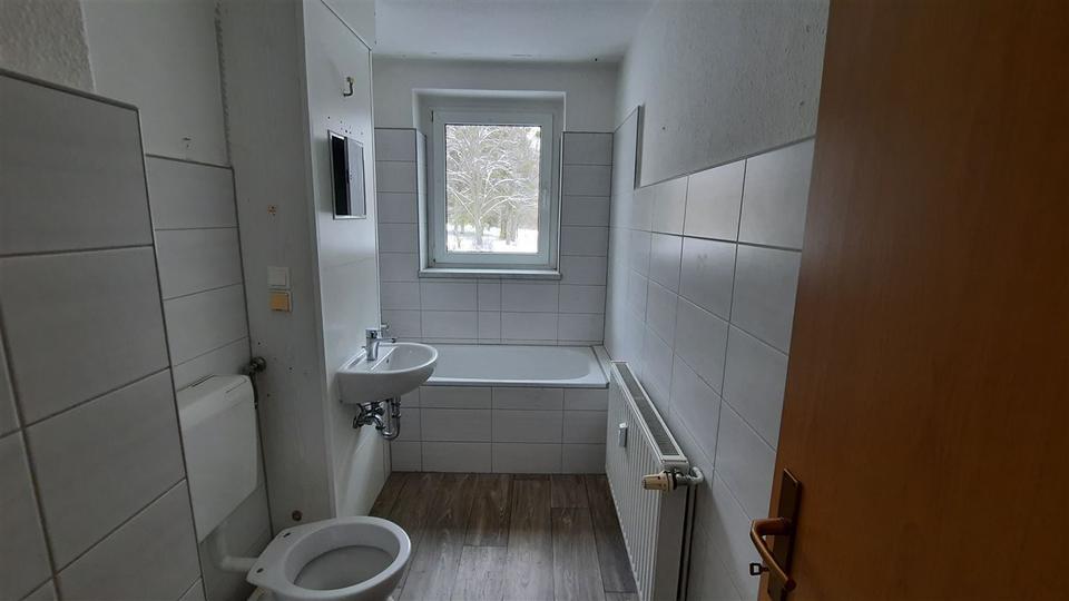 Erdgeschoßwohnung Lauchhammer - 3 Zimmer, 58 m&sup2;, 295&euro; | Angebot:19442879