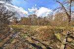 Gewerbeobjekt Großenhain - 1.000&euro; | Angebot:26104249