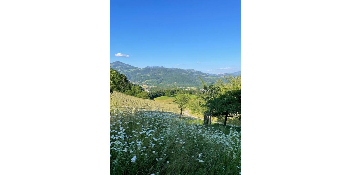 Ihr Urlaubszuhause im Herzen der Berge 3 zimmer