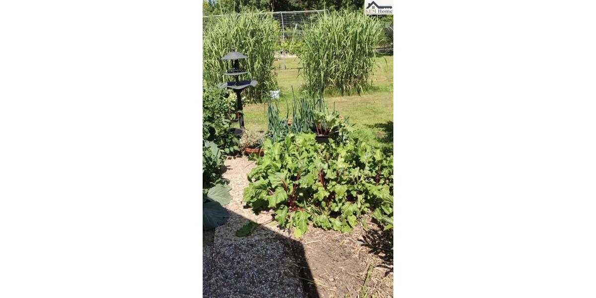 Etagenwohnung Lauenau - 2 Zimmer, 2.000 m&sup2;, 2.250&euro; | Angebot:26299802