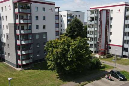 Wohnung Magdeburg Neu Olvenstedt - 1 Zimmer, 34 m&sup2;, 232&euro; | Angebot:26976572