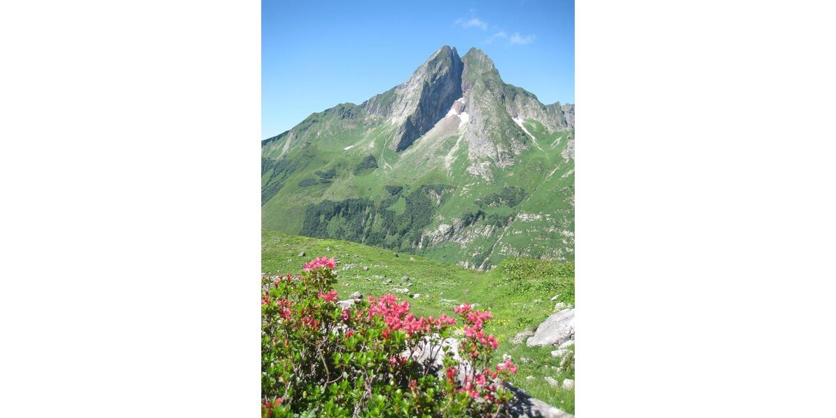 Erdgeschoßwohnung Oberstdorf - 4 Zimmer, 100 m&sup2;, 1.850&euro; | Angebot:25025144