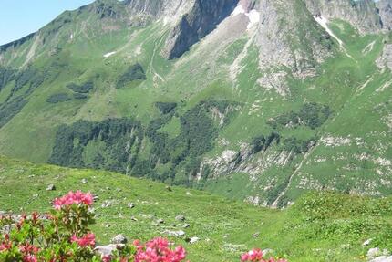 Wohnung Oberstdorf - 4 Zimmer, 100 m&sup2;, 1.850&euro; | Angebot:25025144