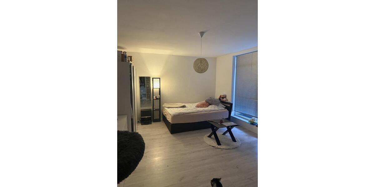 Etagenwohnung Krefeld - 1 Zimmer, 42 m&sup2;, 450&euro; | Angebot:24947579
