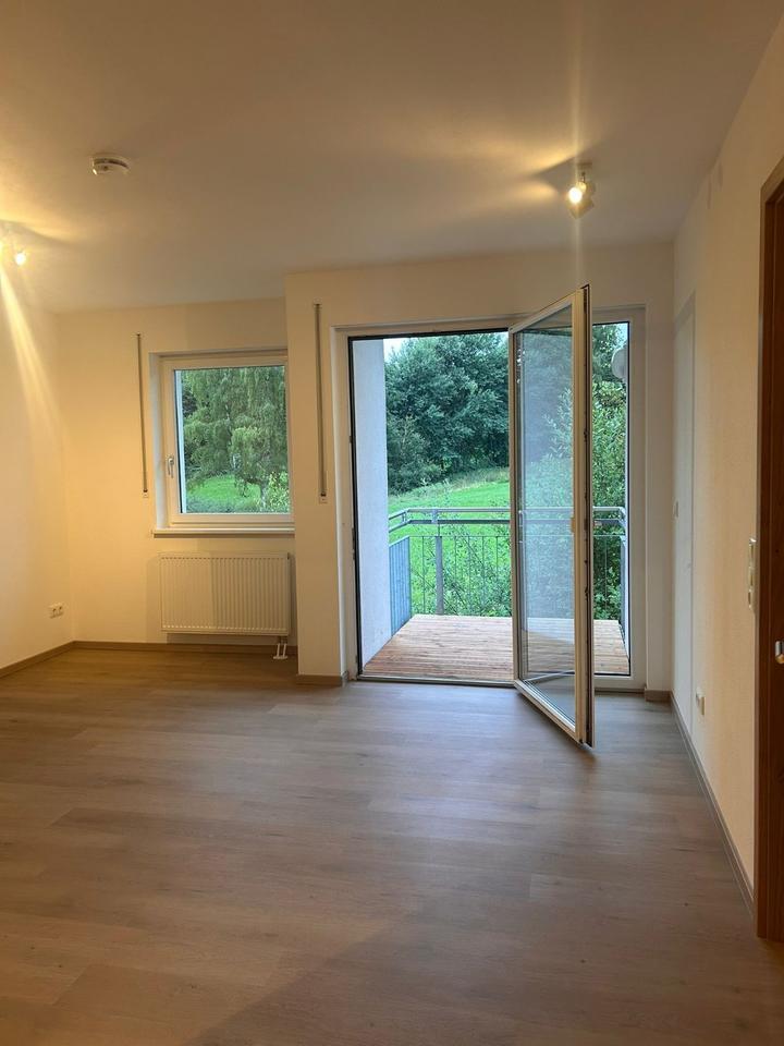 Kernsanierte 2-Zi.-Whg. mit Südbalkon & TG in Wiesenfelden