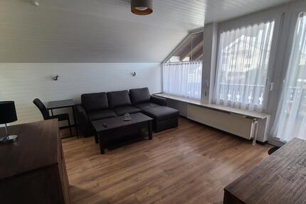 Gemütliche verkehrsgünstig gelegene möblierte 2 Zimmerwohnung 2 zimmer