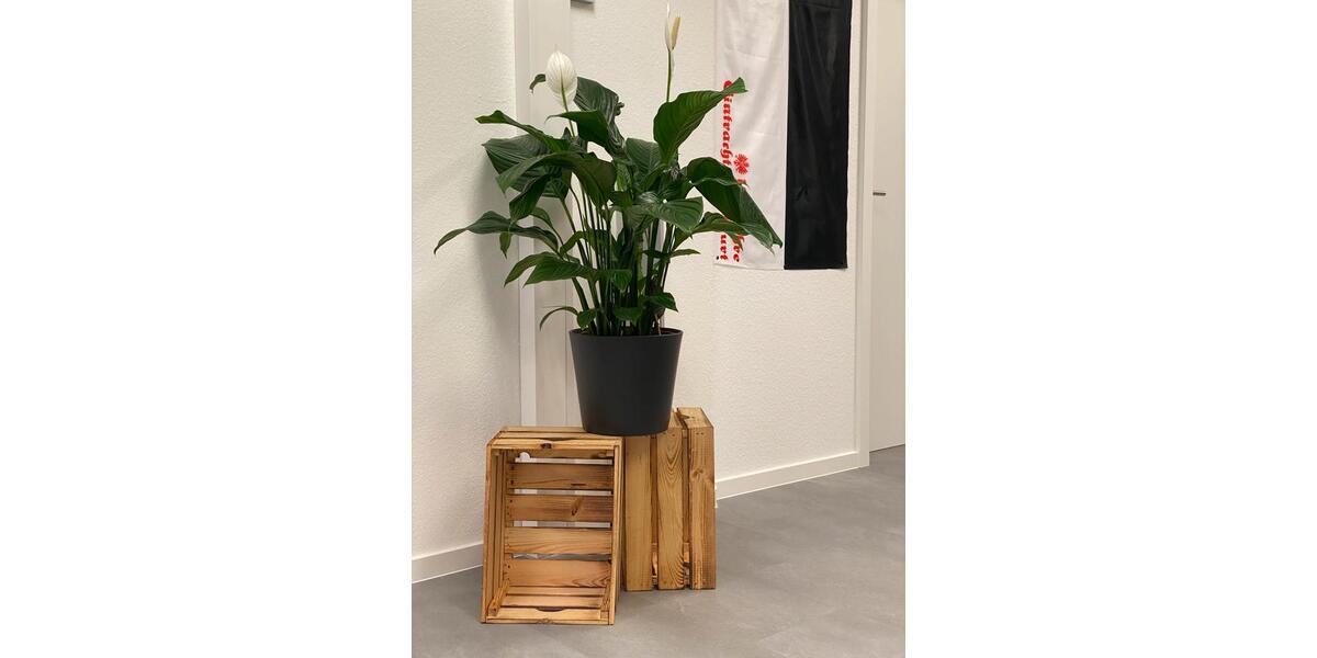 Gewerbeobjekt Kriftel - 295&euro; | Angebot:24114465