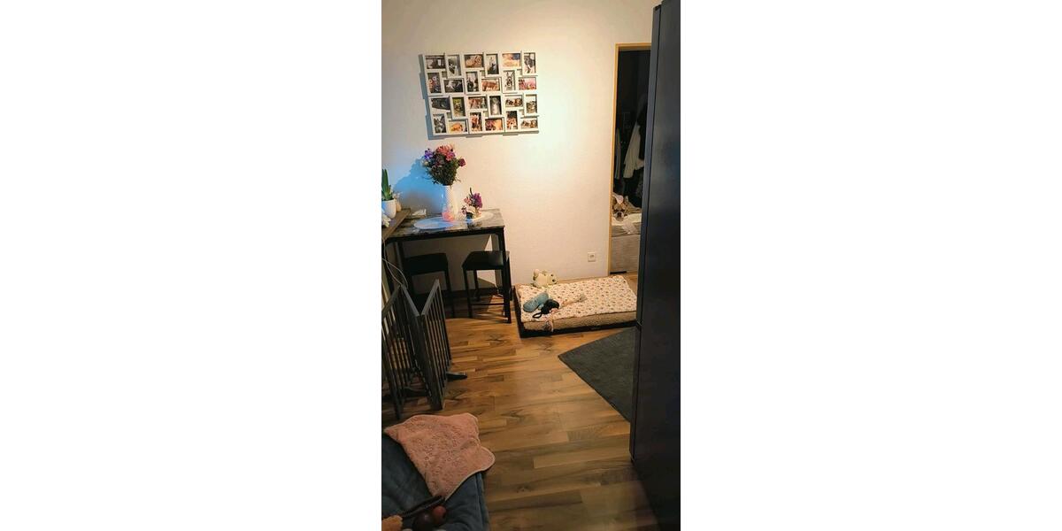 Erdgeschoßwohnung Krauchenwies - 1 Zimmer, 35 m&sup2;, 550&euro; | Angebot:26283905