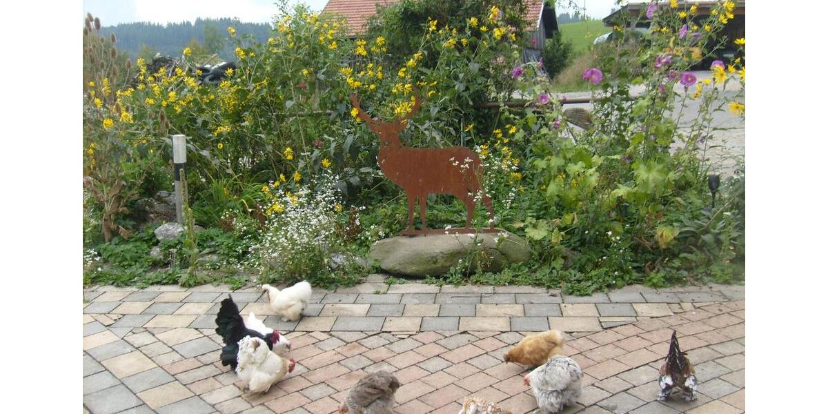 1 Zimmer Appartement auf Bauernhof zu vermieten 1 zimmer