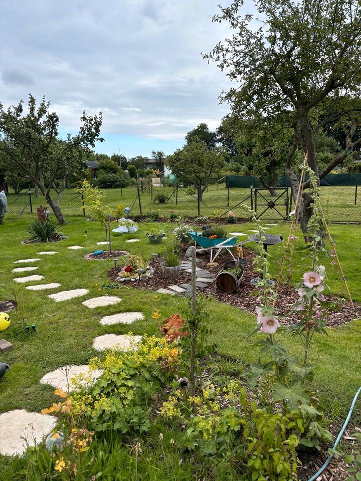 Garten Kleingarten Pachtgarten