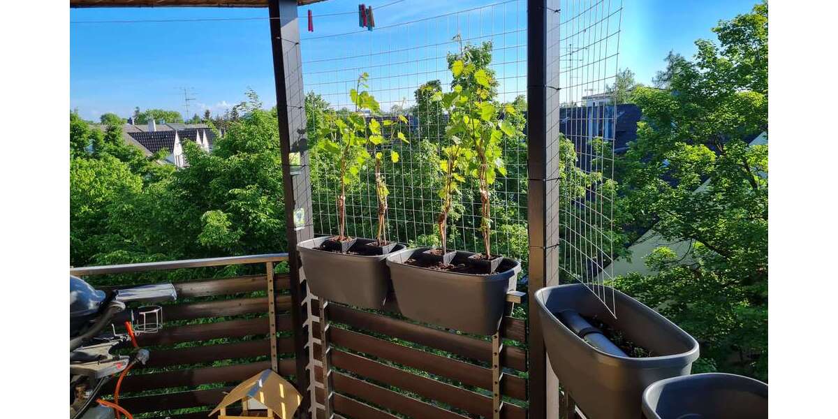 Wohnung zum Mieten in Kirchheim b. München 1.600 € 92.09 m² 3 zimmer