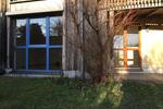 Etagenwohnung Düsseldorf Heerdt - 3 Zimmer, 87 m&sup2;, 1.070&euro; | Angebot:25971235