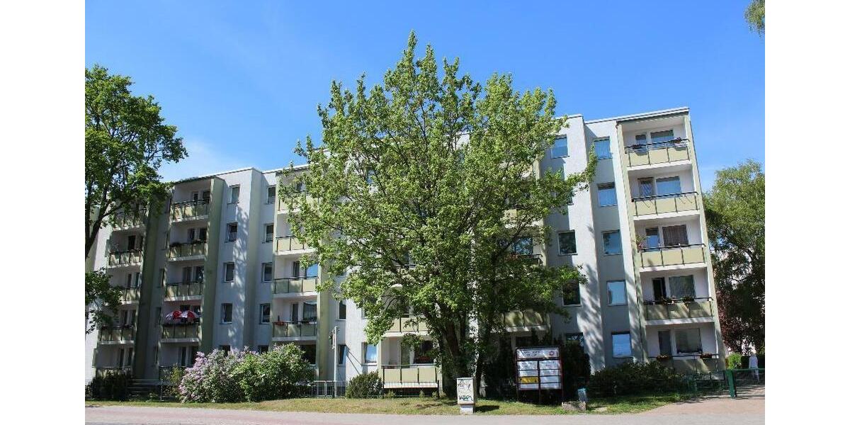 Etagenwohnung Oranienburg - 1 Zimmer, 34 m&sup2;, 200&euro; | Angebot:12320488