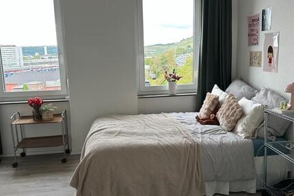 Wohnen auf Zeit Würzburg Dürrbachau - 1 Zimmer, 17 m&sup2;, 610&euro; | Angebot:26578324