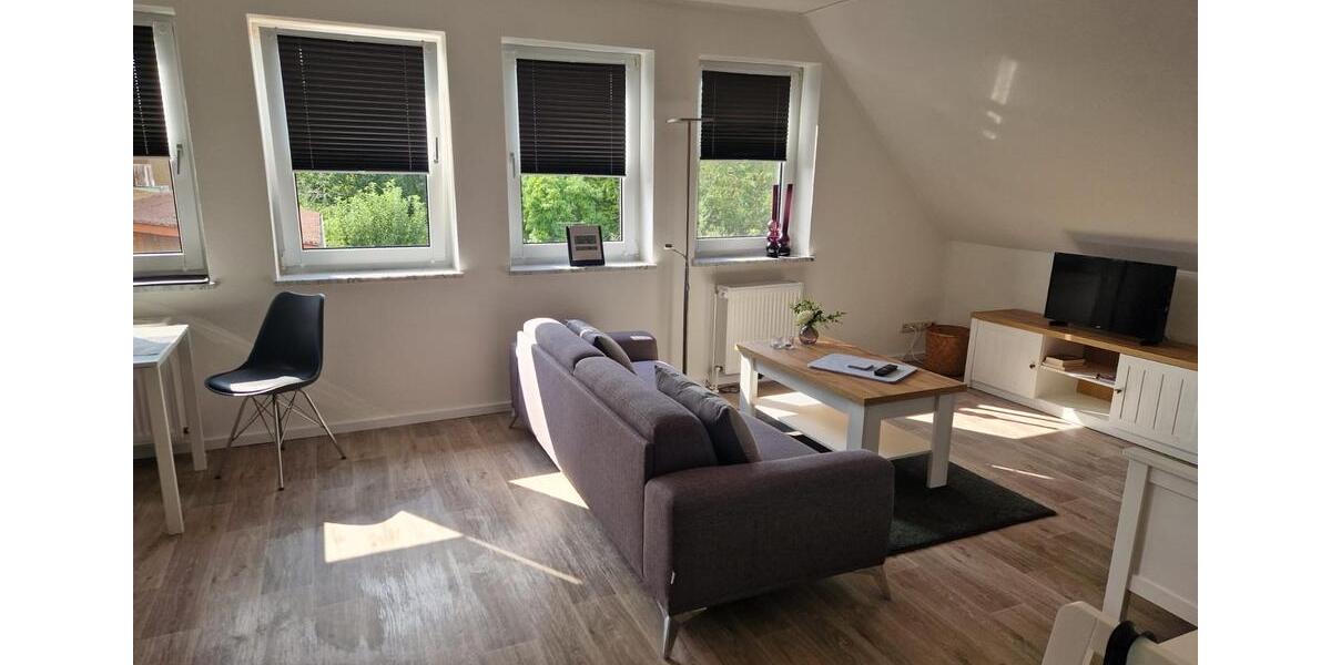 Wohnen auf Zeit Hohnstorf (Elbe) - 1 Zimmer, 40 m&sup2;, 40&euro; | Angebot:23257811