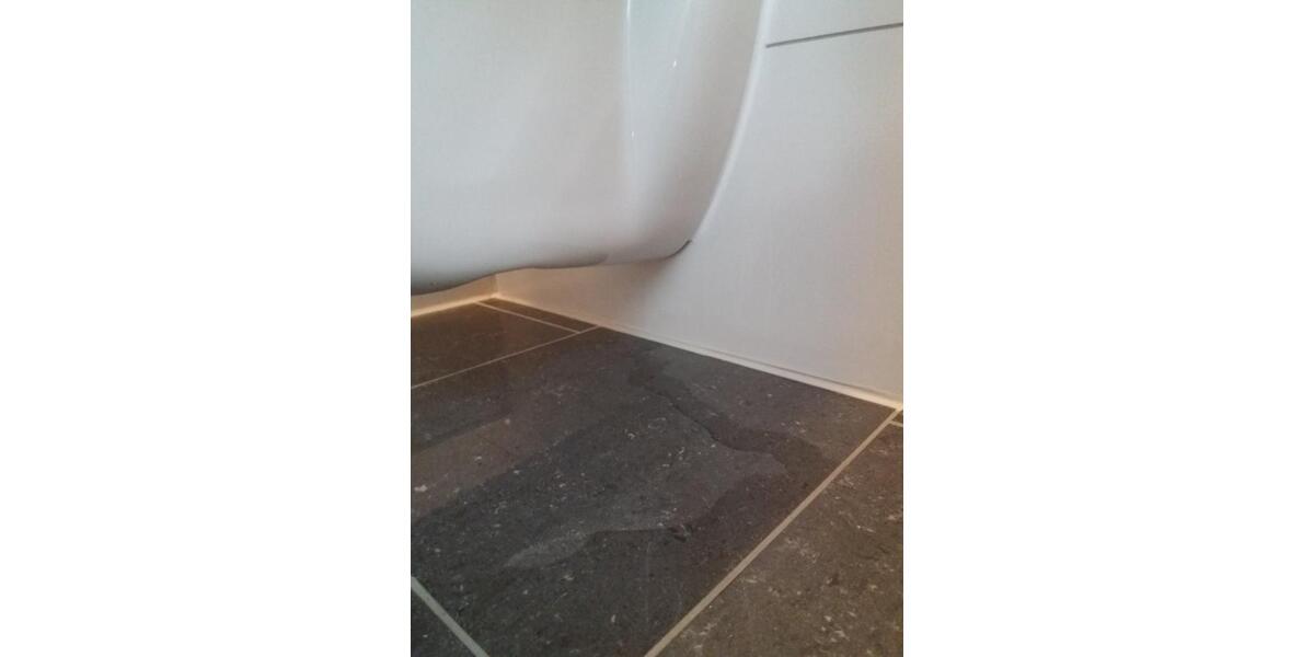 Wohnung mit 3 ZKB2B in Mainz zu Vermieten 3 zimmer