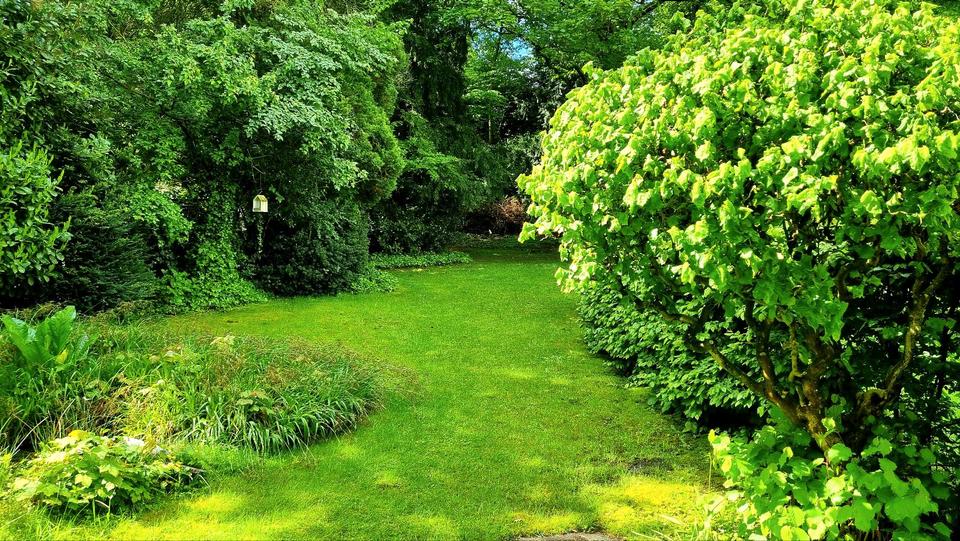Wohnen auf Zeit Aachen Aachen-Mitte - 6 Zimmer, 10 m&sup2;, 500&euro; | Angebot:26616036