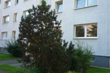 Wohnung Reinsdorf - 3 Zimmer, 57 m&sup2;, 300&euro; | Angebot:23982053