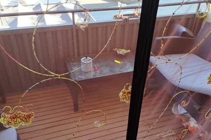 Wohnung Kassel - 3 Zimmer, 81 m&sup2;, 900&euro; | Angebot:25258424