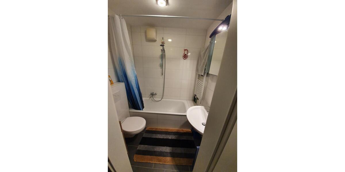 Wohnen auf Zeit Ludwigshafen am Rhein Parkinsel - 1 Zimmer, 49 m&sup2;, 650&euro; | Angebot:26620893