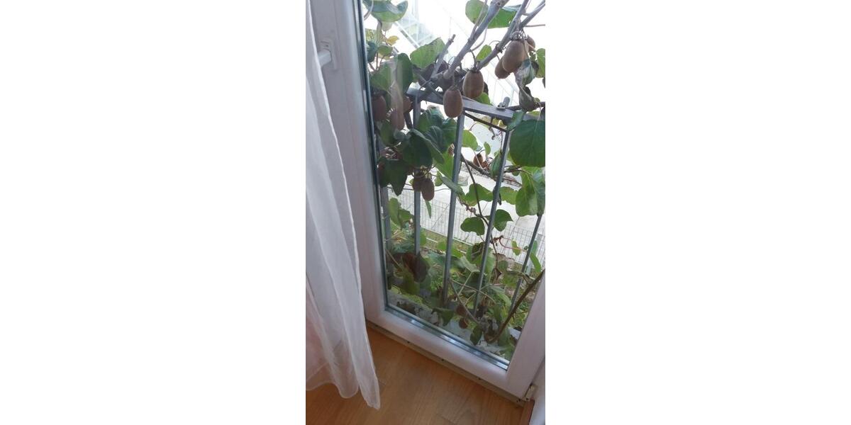 Wohnen auf Zeit Winnenden - 1 Zimmer, 87 m&sup2;, 478&euro; | Angebot:25982098