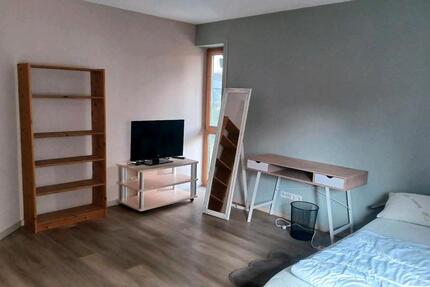 Wohnen auf Zeit Wolpertswende - 1 Zimmer, 18 m&sup2;, 450&euro; | Angebot:25982116