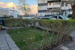 Wohnen auf Zeit Düsseldorf Stadtbezirk 9 - 3 Zimmer, 73 m&sup2;, 1.950&euro; | Angebot:26224806