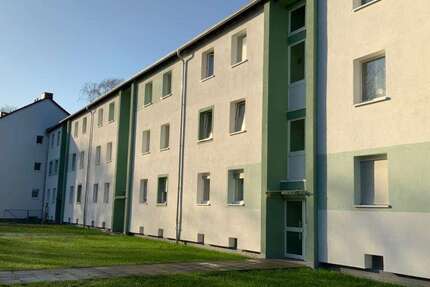 Wohnung zum Mieten in Duisburg 609 € 59 m² 3 zimmer