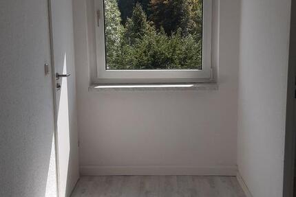 Wohnung Rodewisch - 2 Zimmer, 47 m&sup2;, 260&euro; | Angebot:25499845