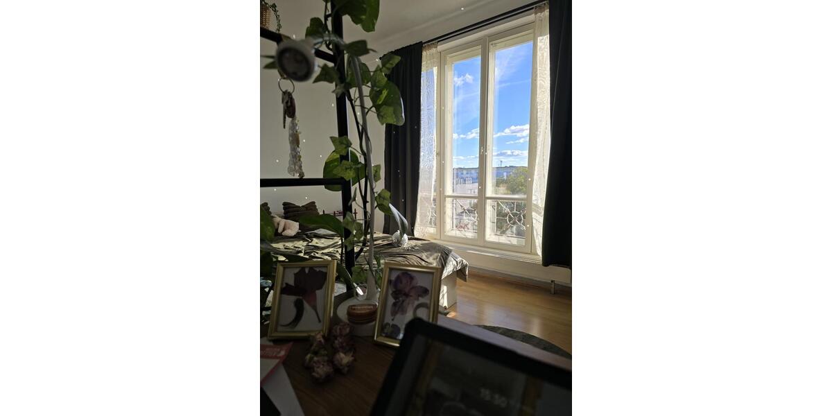 Wohnen auf Zeit Magdeburg - 1 Zimmer, 24 m&sup2;, 344&euro; | Angebot:25361160