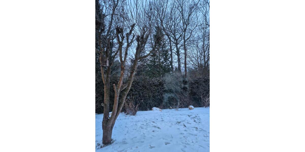 Haus am botanischen Garten idyllisch ruhig mit Garten 4 zimmer