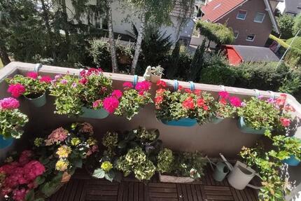 Wohnung Paderborn - 1 Zimmer, 40 m&sup2;, 420&euro; | Angebot:26285669