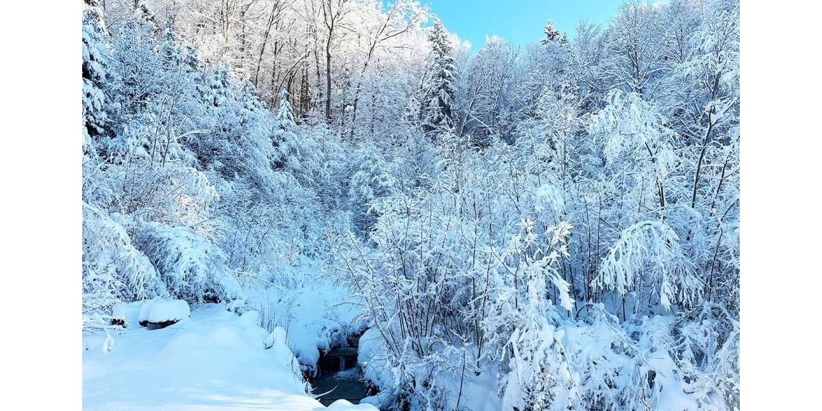 Möblierte 3-Zi-Whg mit Garten am Samerberg (1 Jahr befristet) 3 zimmer