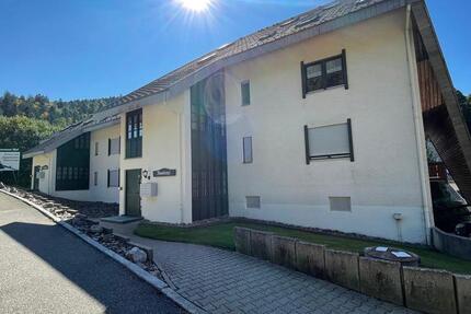 Moderne, vollausgestattete, neu renovierte 1-Zimmer-Wohnung in Todtmoos (124) 1 zimmer