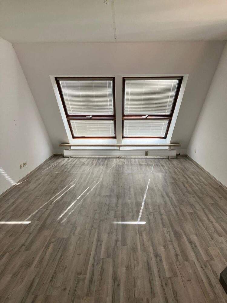 SOFORT VERFÜGBAR - Traumhafte Lage am Wöhrder See! Renovierte 2 Zimmer Dachgeschoss-Wohnung