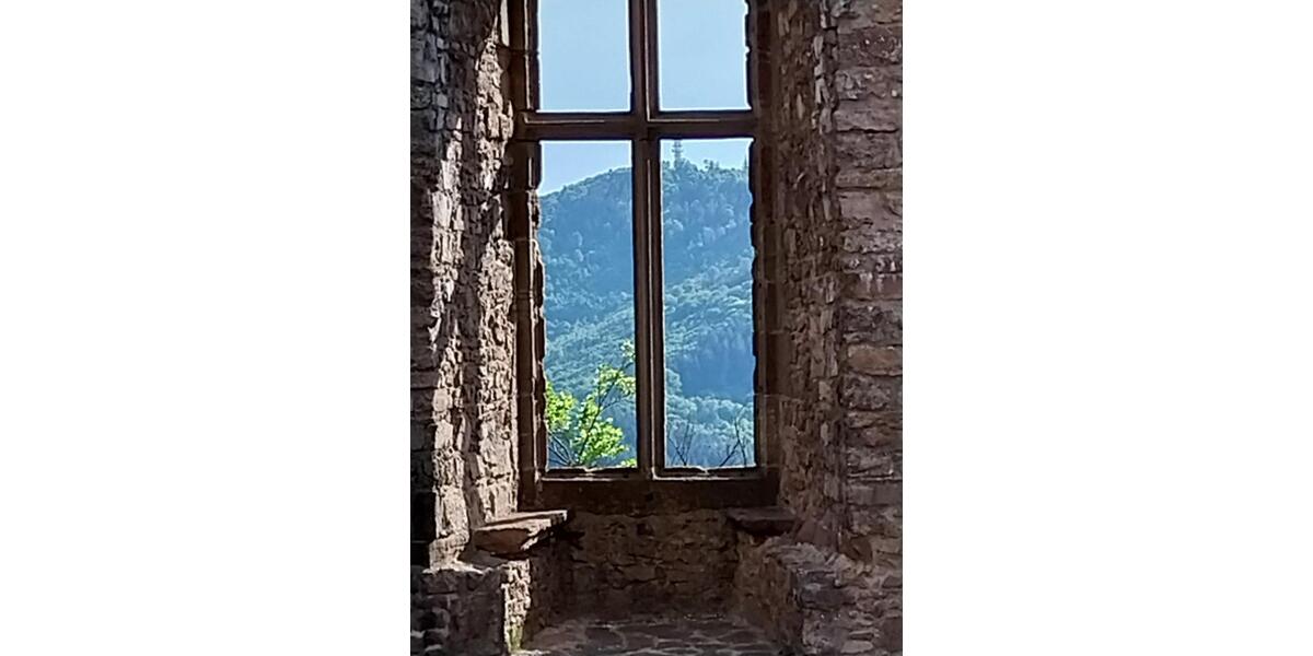 Zimmer zur individuellen Nutzung, keine WGWHG ! zimmer