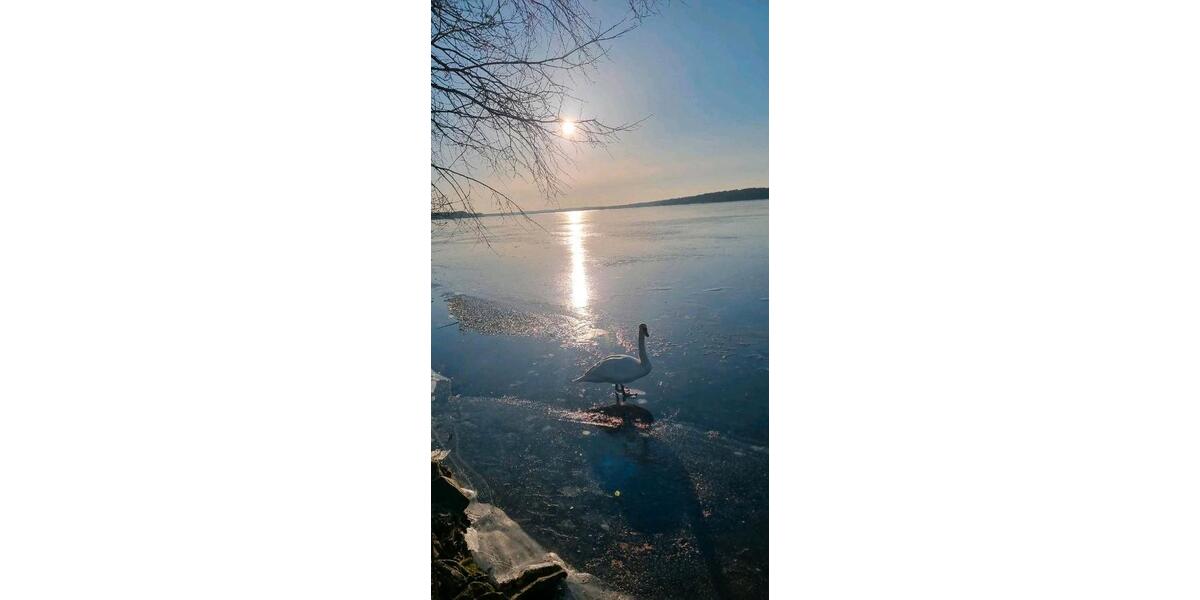 Doppelhaushälfte Bad Saarow - 4 Zimmer, 115 m&sup2;, 1.690&euro; | Angebot:26227807