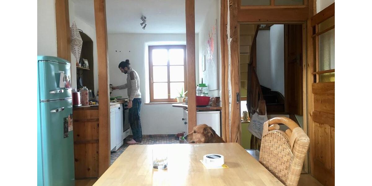 Geräumiges Dachgeschoss in tierfreundlichem Haus mit Garten 1 zimmer