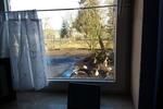 Wohnen auf Zeit Neetzow-Liepen Liepen - 1 Zimmer, 40 m&sup2;, 40&euro; | Angebot:25596587