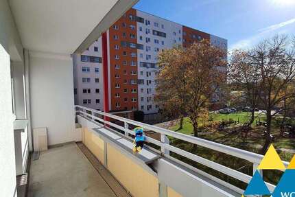 Wohnung Chemnitz Kappel - 1 Zimmer, 36 m&sup2;, 219&euro; | Angebot:26178419