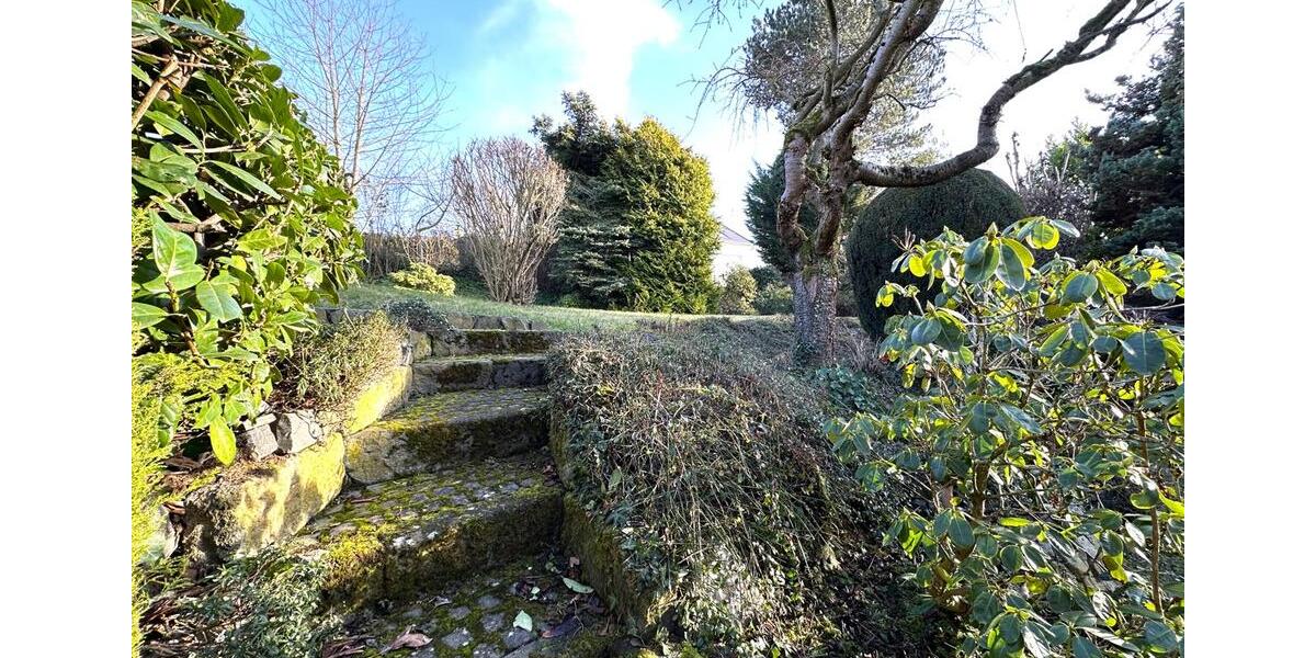 Dachgeschoßwohnung Wachtberg - 2 Zimmer, 74 m&sup2;, 1.050&euro; | Angebot:25144483