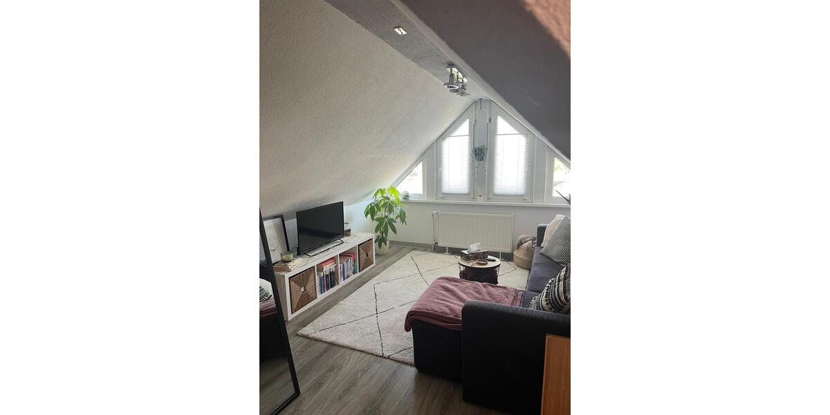 Dachgeschoßwohnung Neustadt (Hessen) - 1 Zimmer, 45 m&sup2;, 500&euro; | Angebot:26697988