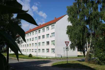 Wohnung Gardelegen - 3 Zimmer, 57 m&sup2;, 340&euro; | Angebot:24785584