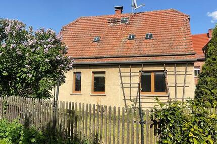 Großzügige 3-Raum Wohnung mit Garten 3 zimmer