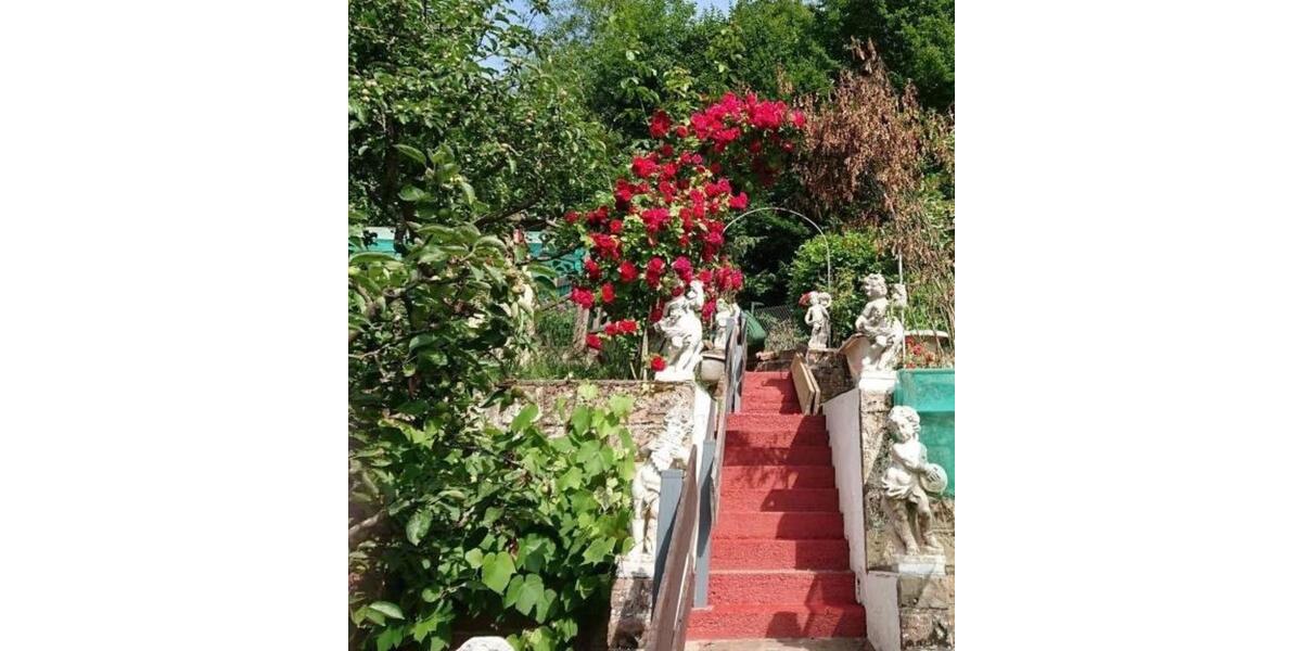 Wohnen auf Zeit Weidenthal - 2 Zimmer, 120 m&sup2;, 35&euro; | Angebot:25725363